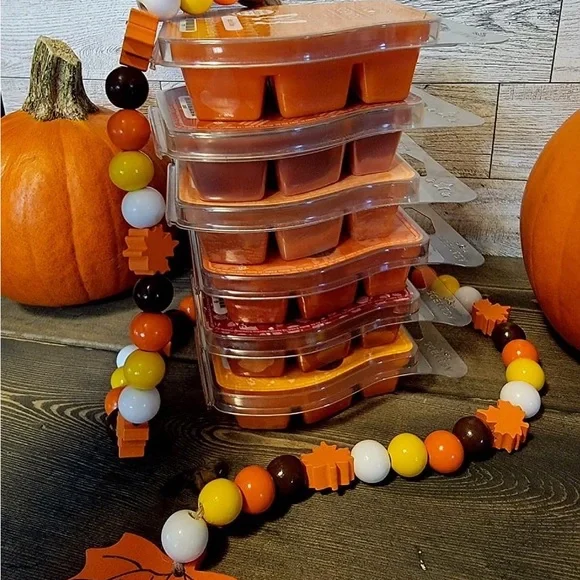 Scentsy fun fall themed mystery bag! This will have new scents and fan favorites - Picture 5 of 6